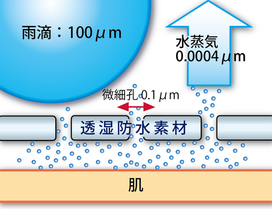 日本工業標準 透濕性試験（JIS L 1099）