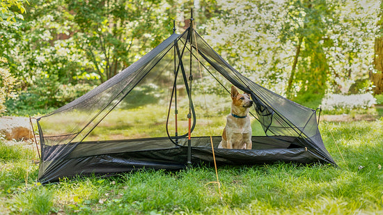 Tarptent 非自立帳 Dipole 1 DW  1P [ 最寬敞 ]