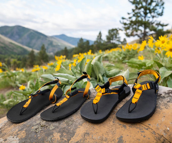 BEDROCK Classic Sandals 10周年限定 老式基岩色 - 黃色